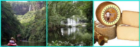 mosaic99f498ff382c05c061384c7143b27930a6922cd1