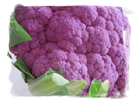 framef8a461ba981367db910a98769ef994e25a9da402