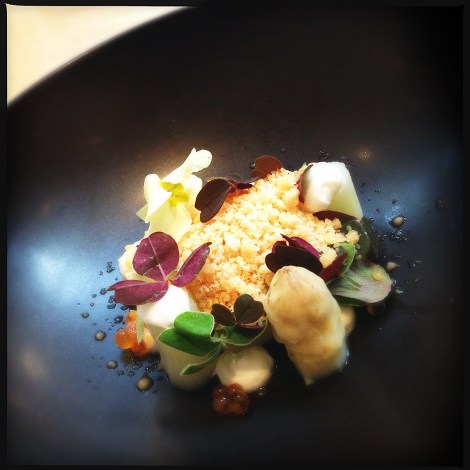 spargel-greip-forell