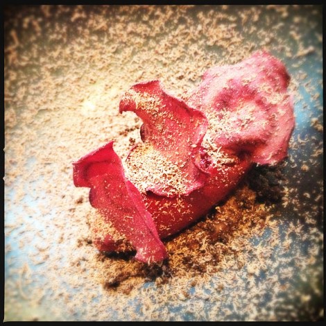 shokolaad-peet-muskaat äädikas