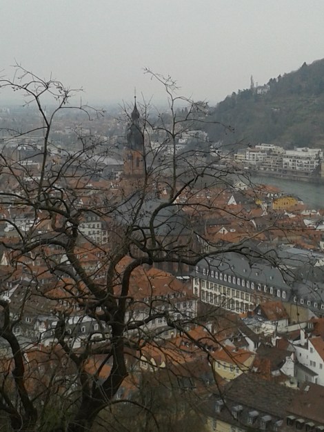 Heidelbergi pilt on kahjuks tehtud vihmasel päeval aprilli algul. Praegu kõik puud juba lehtis ja paljud ära õitsenud.