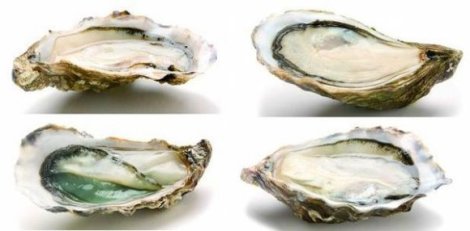 FineDeClaire_cle02f975-43056