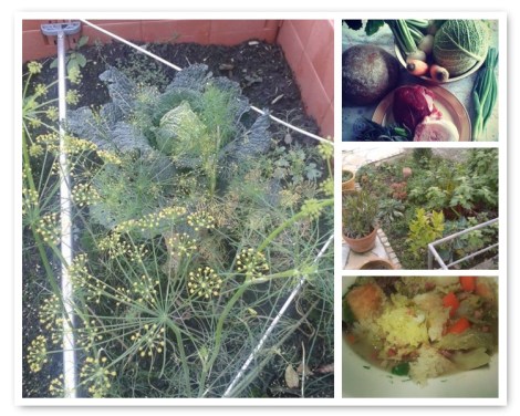 mosaicfc61d1c891adb07e405da7e8ff713142de505bbb