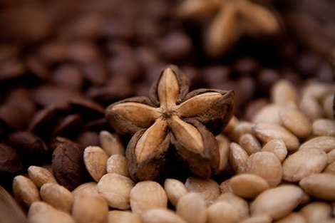 Sacha_Inchi_Seeds