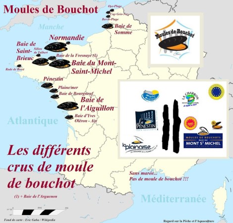 France Mytiliculture moule de bouchot terroir Charron mont saint michel normandie saint brieuc pƩnestin - La Plaine STG SpƩcialitƩ Traditionnelle Garantie