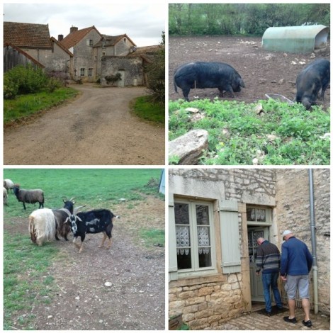 Mõned plõksud restorani ümber