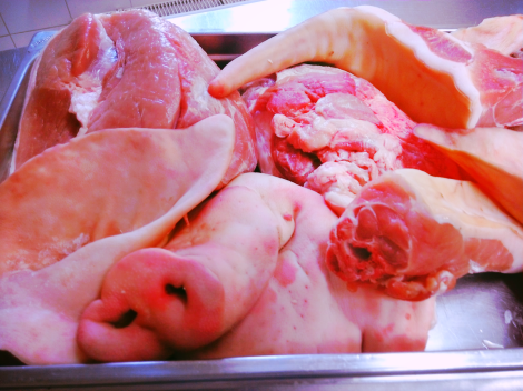 Aviary Photo_131031291433991889