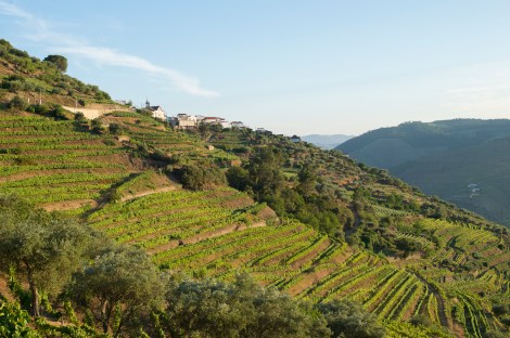 CasaldeLoivosDSC_2687