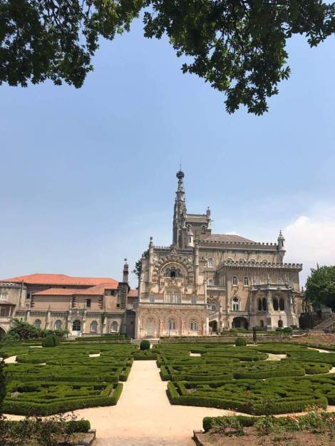 received_1656693411032032