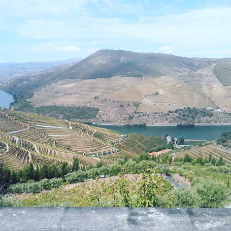 IMG_20170917_141226_765