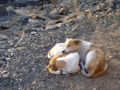 received_2234036303536873