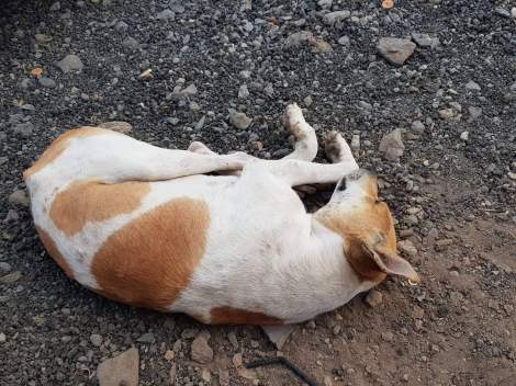 received_539800669854373